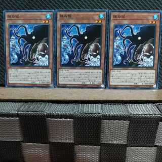 【ぽぽたん】遊戯王 1371 隅鳥賊 ノーマル3枚 3枚