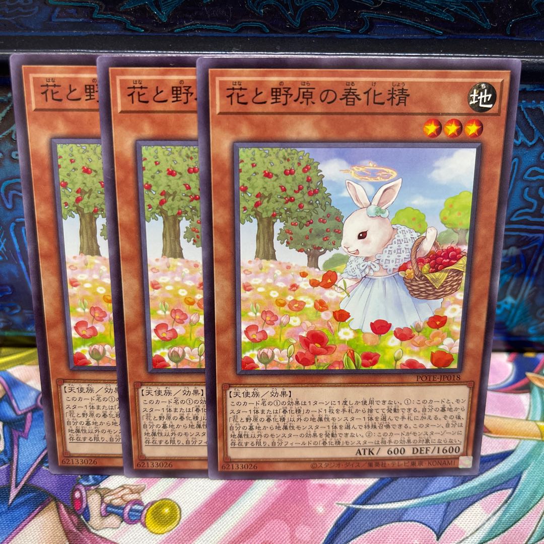 No.738 P shop: Springized spirit of flowers and fields [no].