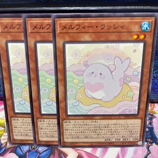 No.753 P shop Melfi Lassi [no