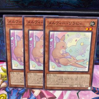 No.755 P Shop Melfi Wallaby [no