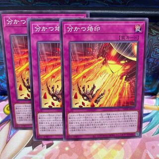 No.757 P shop, a brand that divides [no