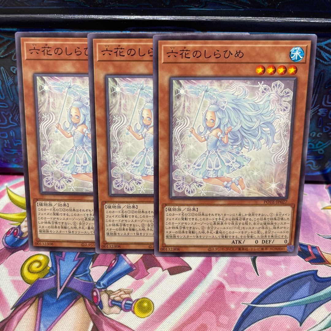 No.775 P shop Rokka no Shirahime [no