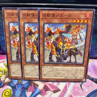 No.778 P屋　炎獣使いエーカ 【ノー】