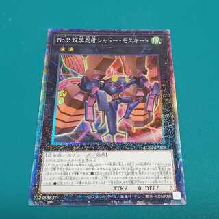 No.2 Mosquitological Ninja Shadow Mosquito (CR)