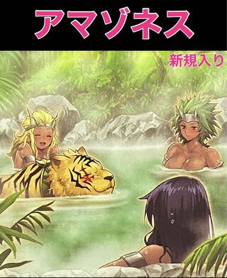 Yu-Gi-Oh! Amazoness Deck Rosaan 40 cards + EX 15 cards