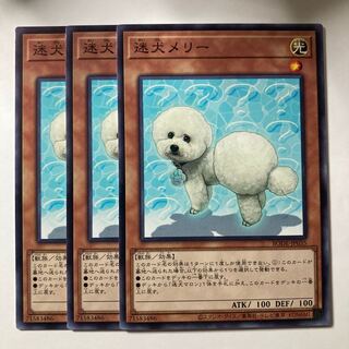 5697 Outstanding Dog Mary ☆7738