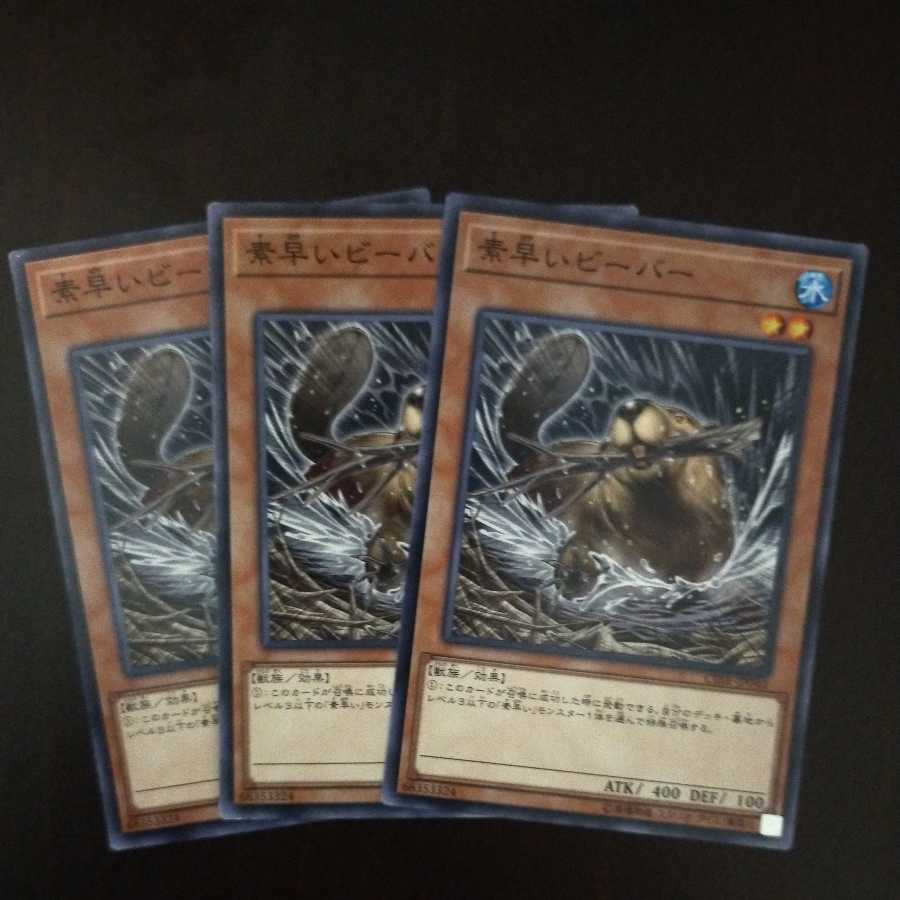 3 Nimble Beaver Normal