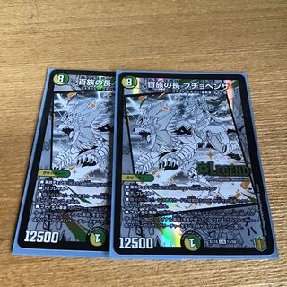 Puchohenza, chief of the Hundred Tribes