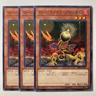 Lonefire Blossom ☆7778