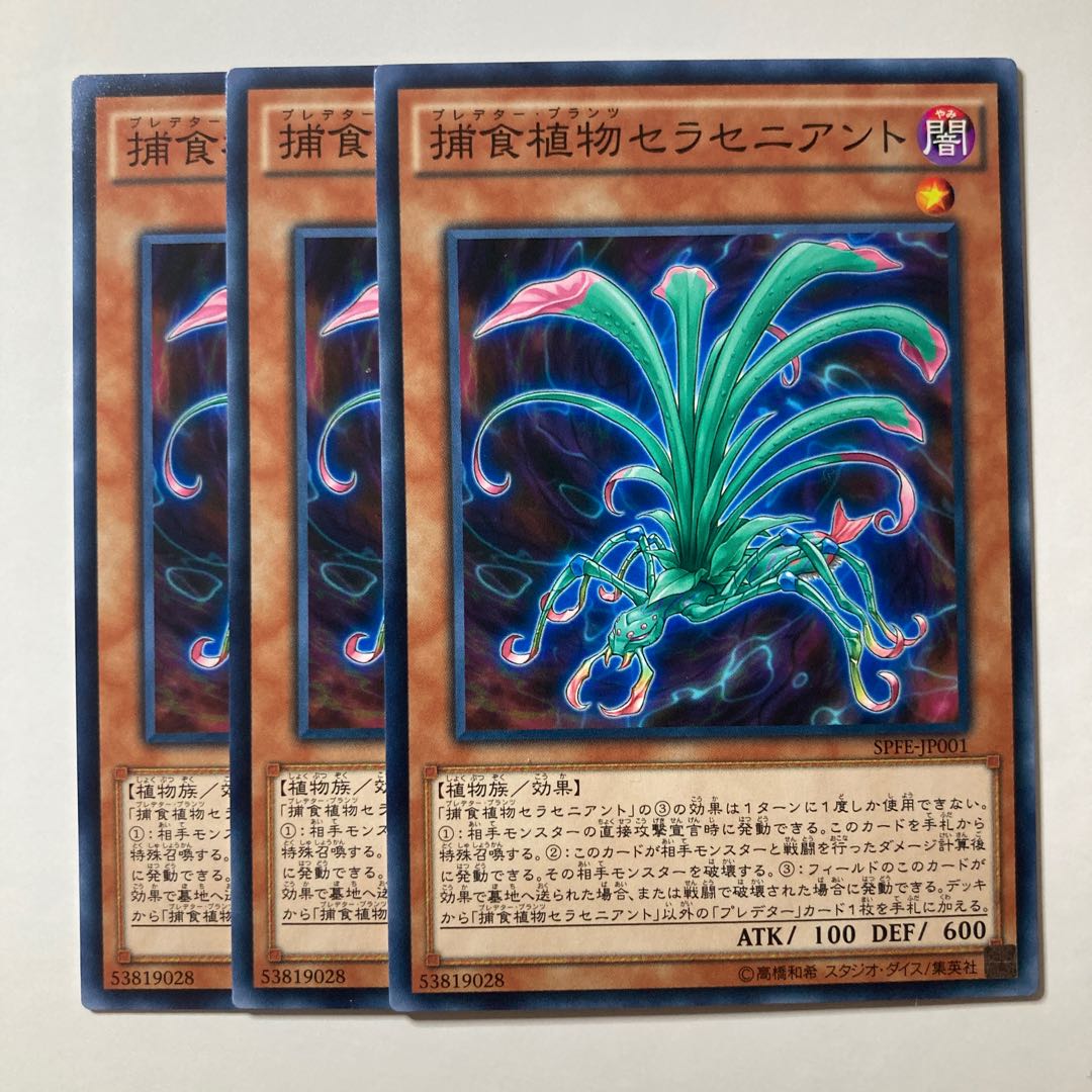 Predaplant Sarraceniant ☆7828