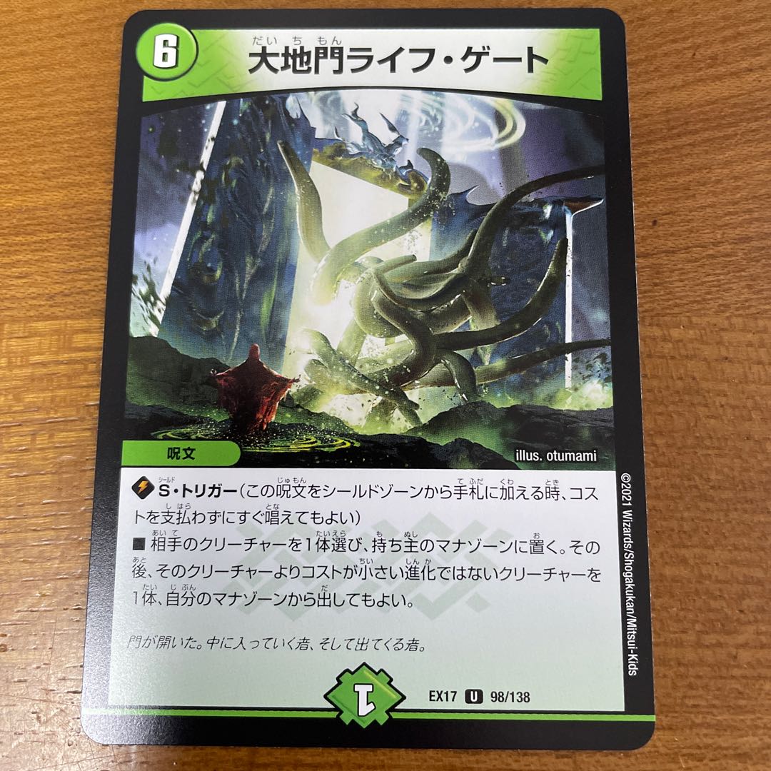 Large Gate Life Gate