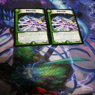 神秘の宝箱　２枚