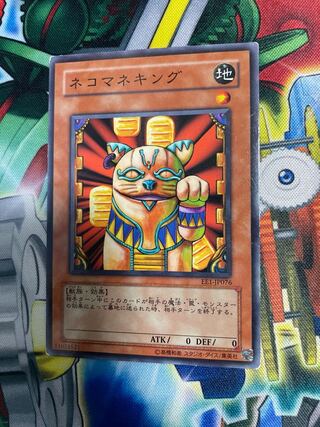 Neko Mane King 1 piece