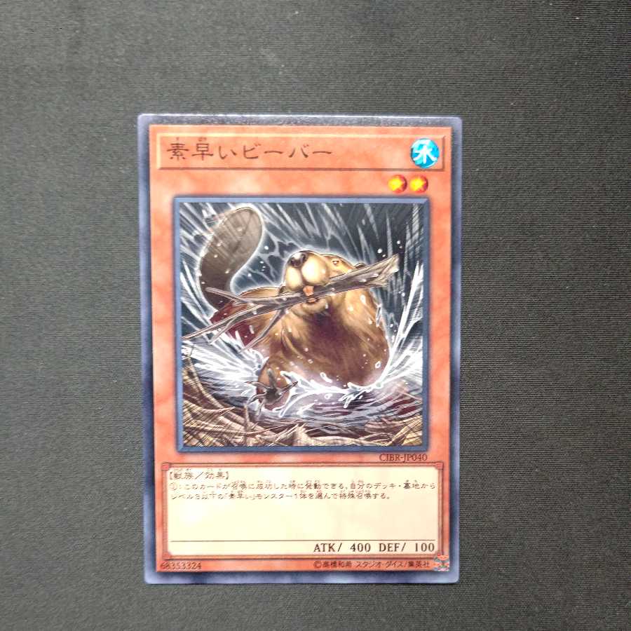 Nimble Beaver Normal Rare