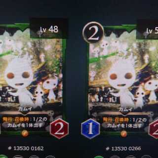 カムイ2枚セット