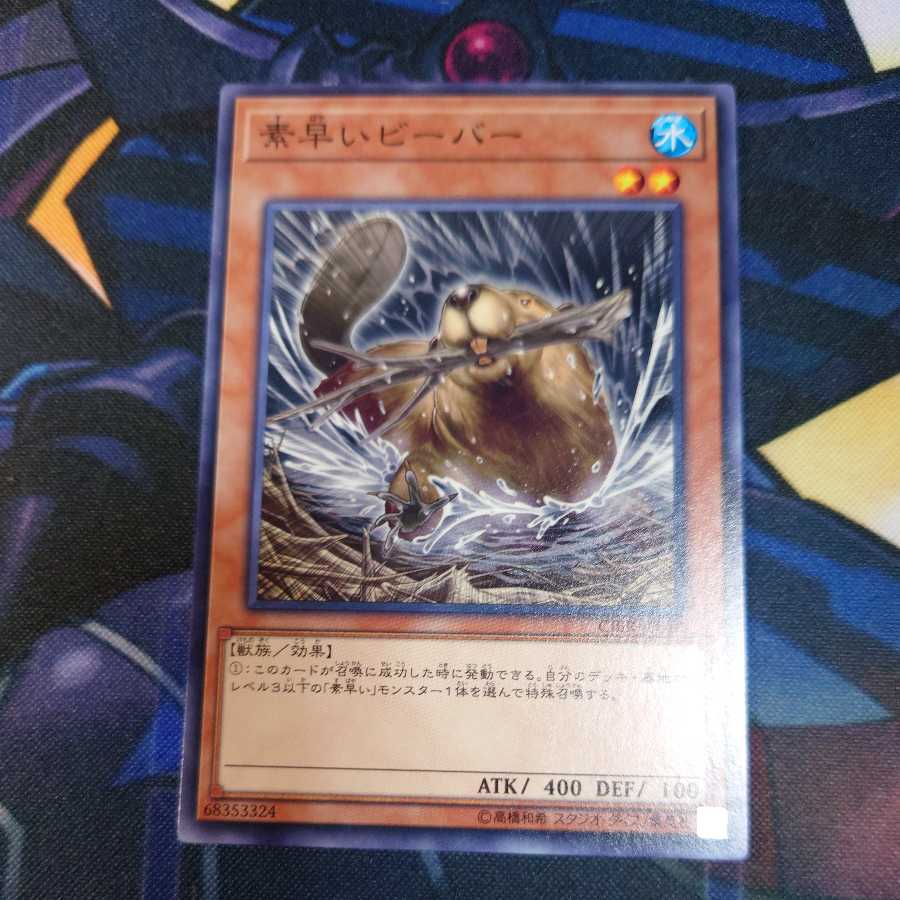 Nimble Beaver Scratched Special Price