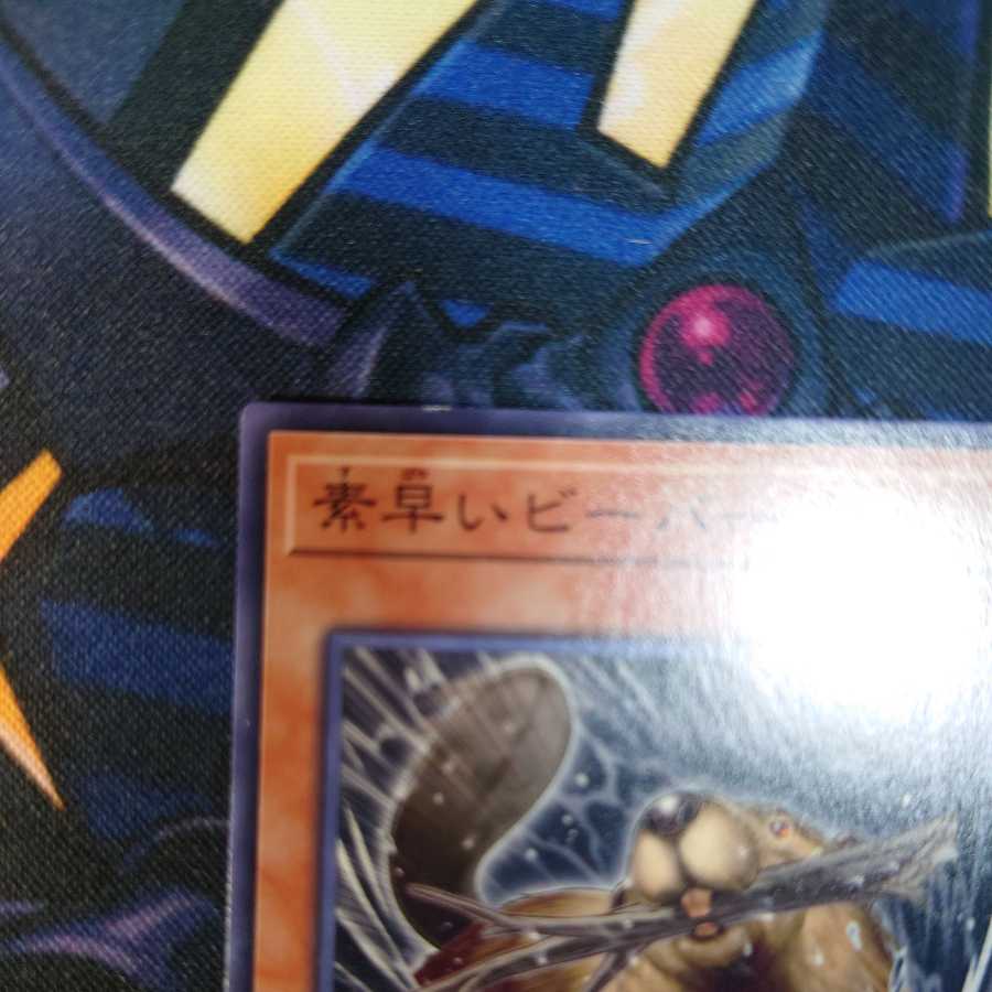 Nimble Beaver Scratched Special Price