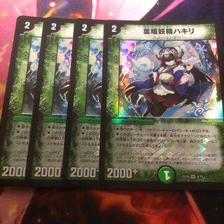 4 leaf-narrowing fairy hakiri