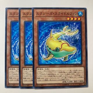 エクシーズ・スライドルフィン　☆7904