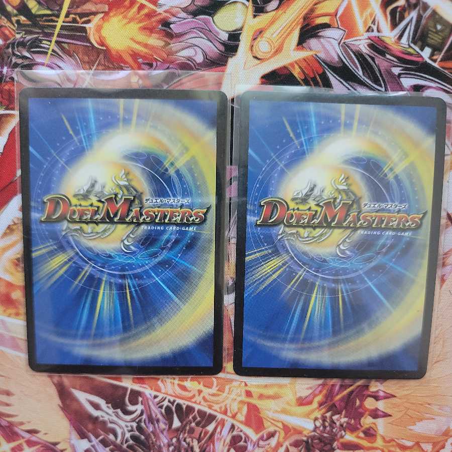 Heavenly Leather Cavalier Miracle Star