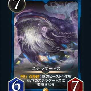 [2枚]ステラケートス