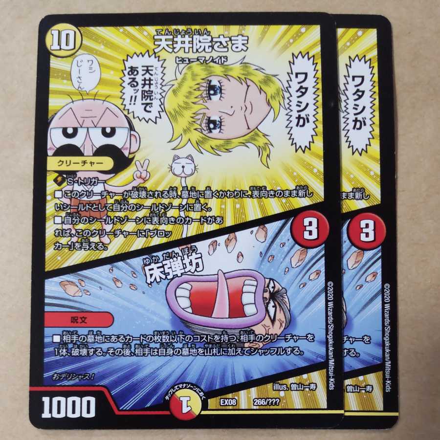 TEREININ-sama｜TOKODANBO 2 sheets