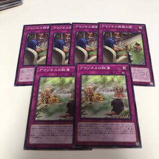 アマゾネスの秘湯 ノーマル アマゾネスの拝謁の間