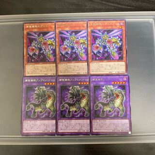 捕食植物ビブリスプ レア アンブロメリドゥス レア3枚セット