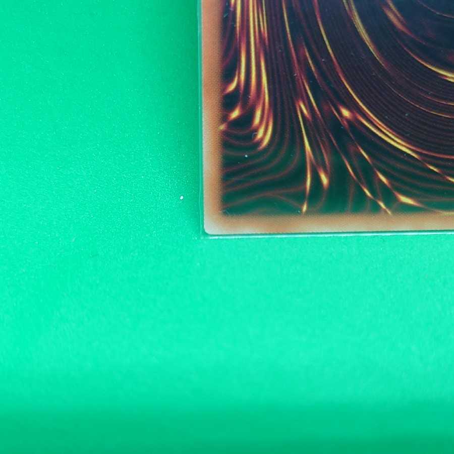 IP Mascarena Plisik Unused