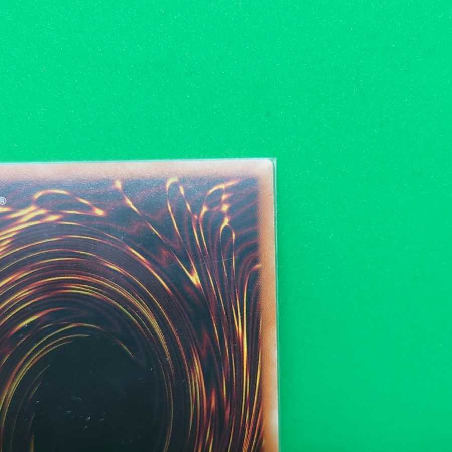 IP Mascarena Plisik Unused