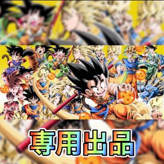 第5回 バラ様専用出品になります。 1枚