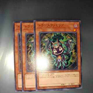 トランスファミリア ノーマル　☆