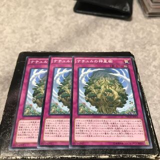 Naturia Sacred Tree 3 normal