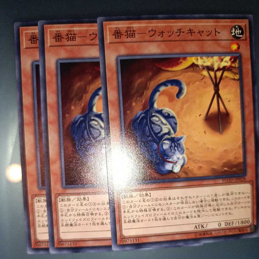 Watch cat - Watch cat Normal ☆