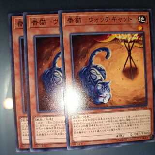 Watch cat - Watch cat Normal ☆