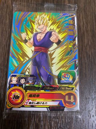 専用　追加分 1枚