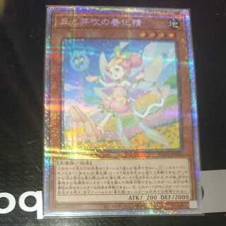 丘と芽吹の春化精 プリズマティックシークレットレア JP016