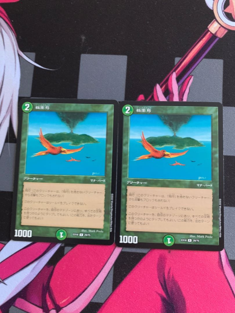 【デュエマ】極楽鳥 1枚
