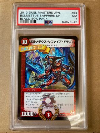 Bormetheus sapphire dragon