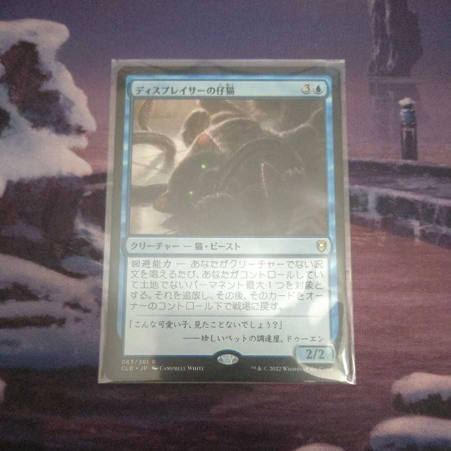 ディスプレイサーの子猫