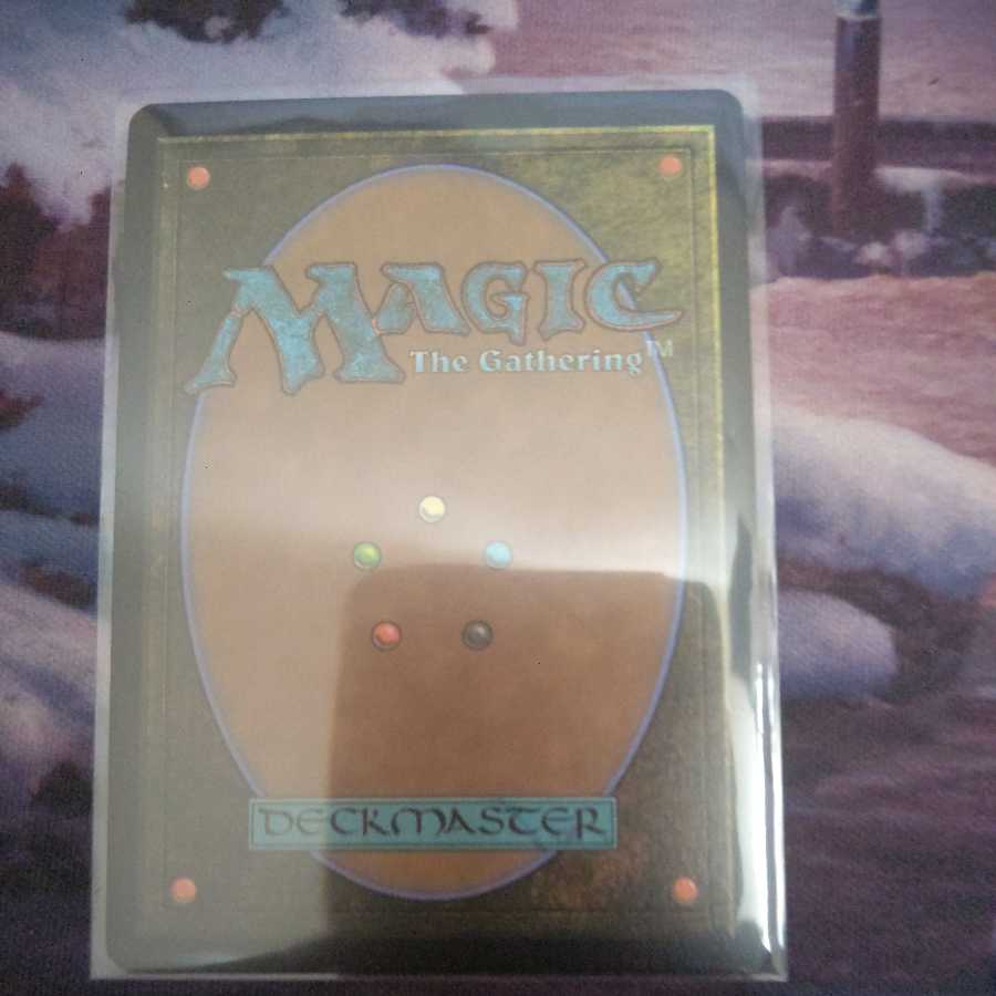 ディスプレイサーの子猫