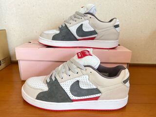 ナイキ SB ズーム チームエディション ファミリー 26.5cm