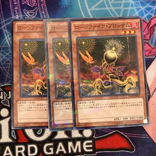 Lonefire Blossom 3 pieces special price