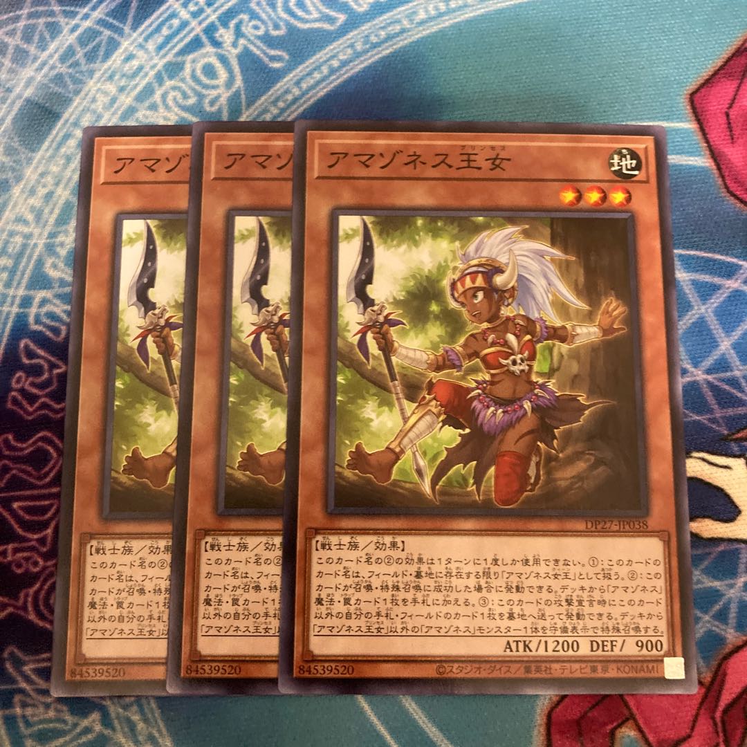 Amazoness Princess Normal 3