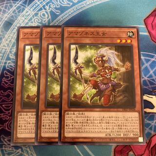 Amazoness Princess Normal 3