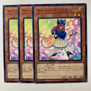 Kathy Eve L2 ☆8017