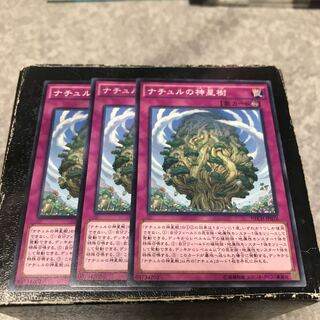 Naturia Sacred Tree 3 normal