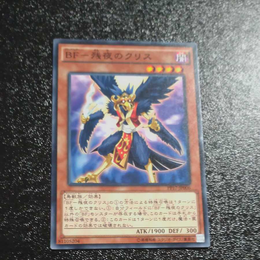 BF-Squirrel of Remaining Night Normal [Mokurindo].