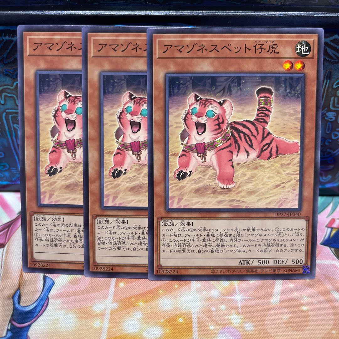 No.787 P屋 Amazoness Baby Tiger [no