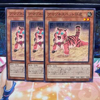 No.787 P屋　アマゾネスペット仔虎 【ノー】